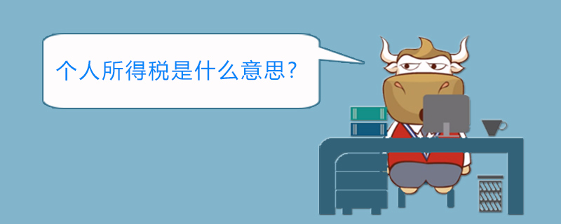 个人所得税是什么意思