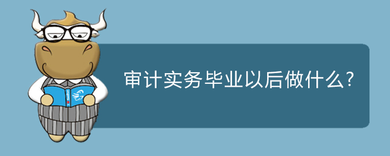 审计实务毕业以后做什么