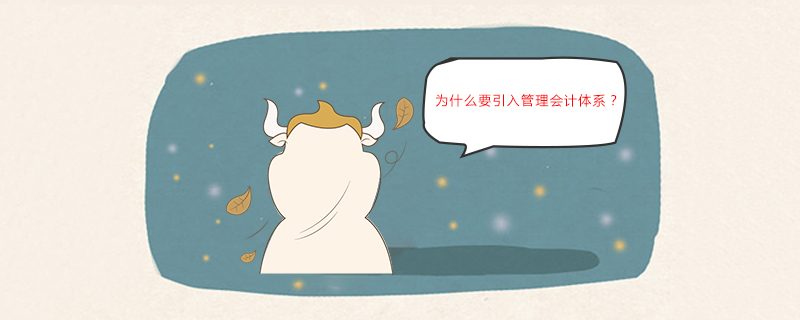  为什么要引入管理会计体系