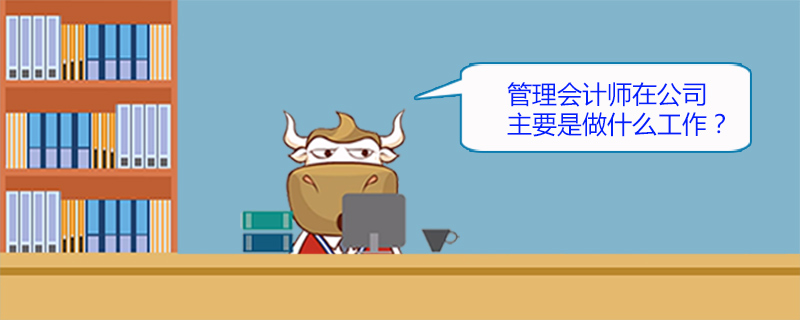 管理会计师在公司主要是做什么工作