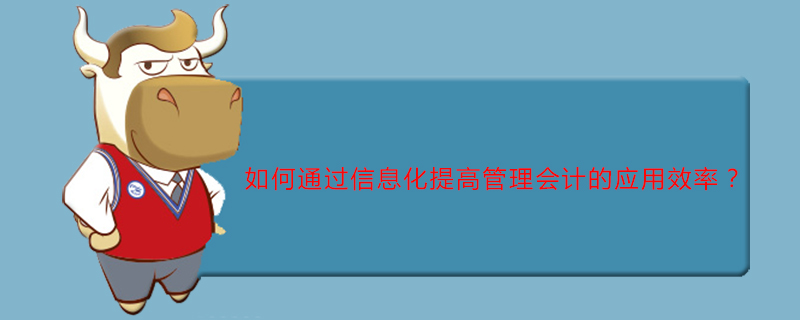 如何通过信息化提高管理会计的应用效率