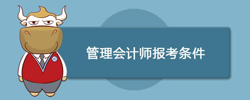 管理会计师有哪些报考条件