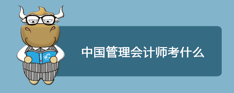 中国管理会计师考什么