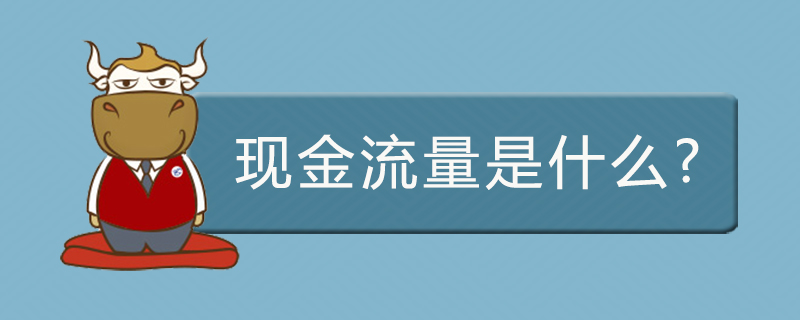 现金流量是什么