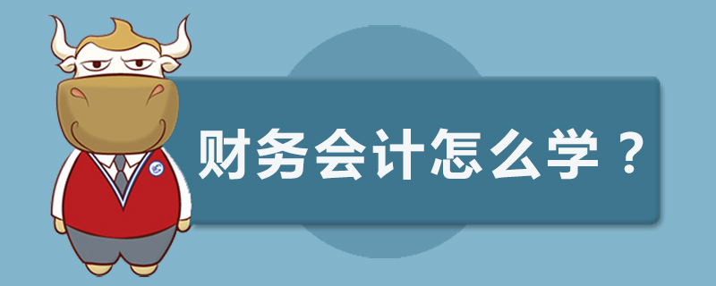 财务会计怎么学