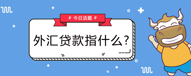 外汇贷款指什么