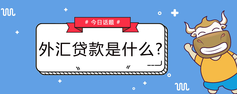 外汇贷款是什么