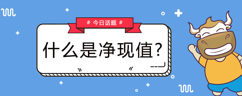 什么是净现值