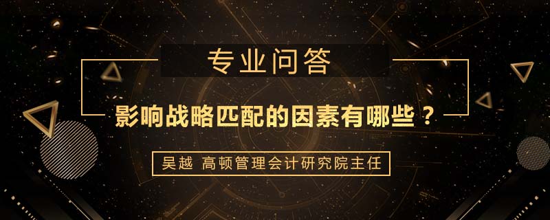 影响战略匹配的因素有哪些