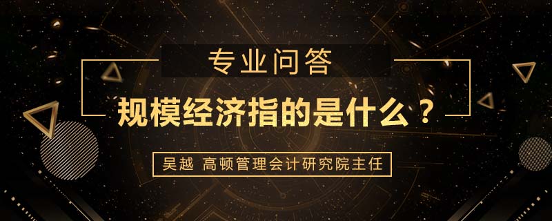 规模经济指的是什么