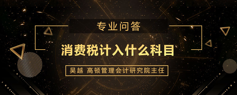 消费税计入什么科目