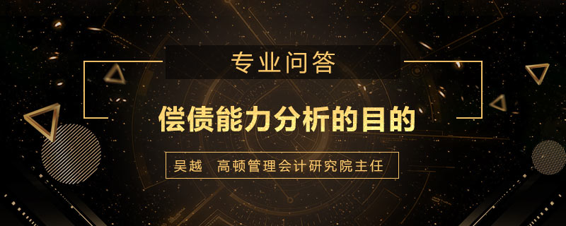 偿债能力分析的目的是什么